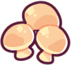 Button Mushrooms